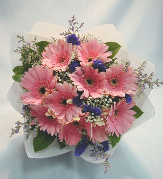 10 Pink Gerbera Bouquet